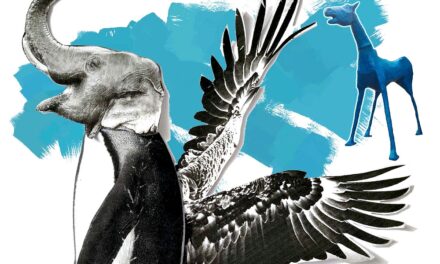 AL CENTRO DI SALUTE MENTALE DI DOMIO LA MOSTRA CON I LAVORI DEL LABORATORIO “ALTRI ANIMALI FANTASTICI”