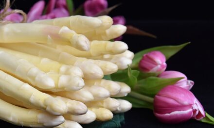 A Bassano la finale della gara di cucina dedicata all’asparago bianco