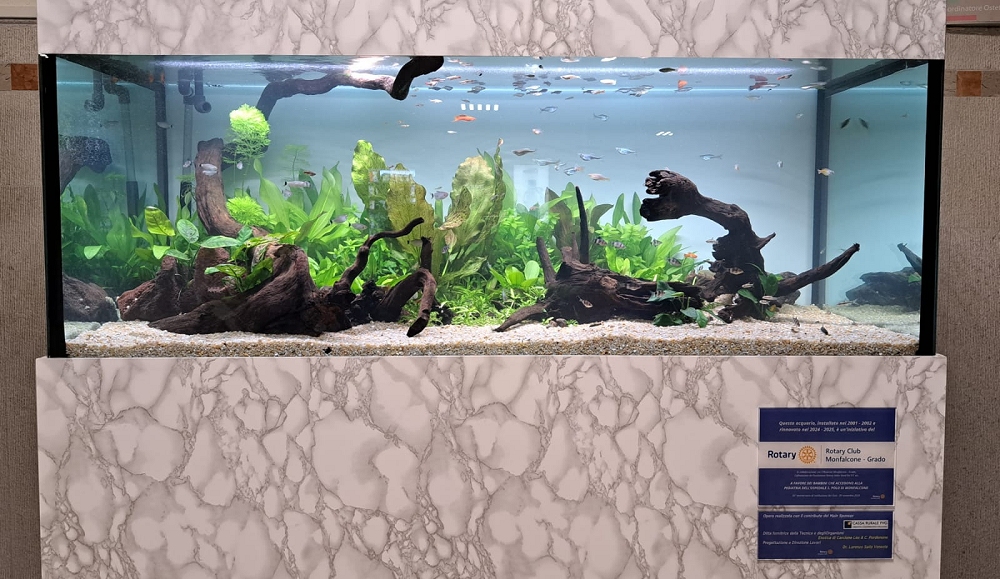 Donazione del Rotary Club di Monfalcone-Grado di un acquario per la SC Pediatria dell’Ospedale San Polo di Monfalcone