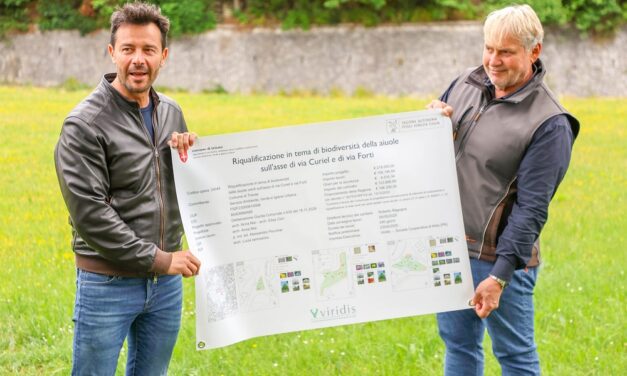 BORGO SAN SERGIO, AVVIATI I LAVORI DI RIQUALIFICAZIONE DELLE AIUOLE A TUTELA DELLA BIODIVERSITÀ SULL’ASSE DI VIA CURIEL