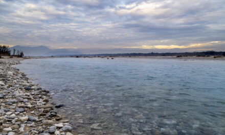 Si conclude il progetto “Sulle vie dell’acqua tra pietre e fiumi, storie del ’900”: un viaggio nella memoria del Friuli Venezia Giulia