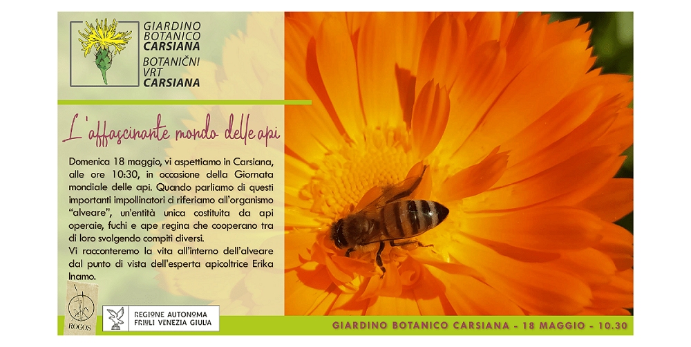 L’affascinante mondo delle api al Giardino botanico Carsiana