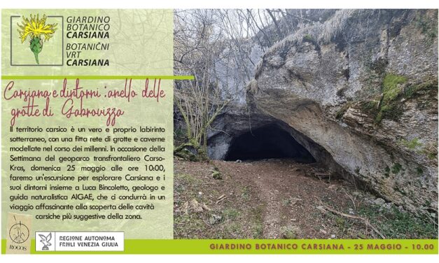 Carsiana e dintorni: anello delle grotte di Gabrovizza