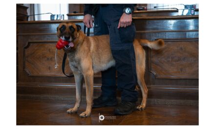 PRESENTATA QUESTA MATTINA L’UNITÀ CINOFILA DELLA POLIZIA LOCALE