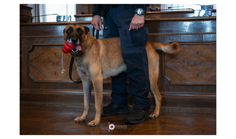 PRESENTATA QUESTA MATTINA L’UNITÀ CINOFILA DELLA POLIZIA LOCALE