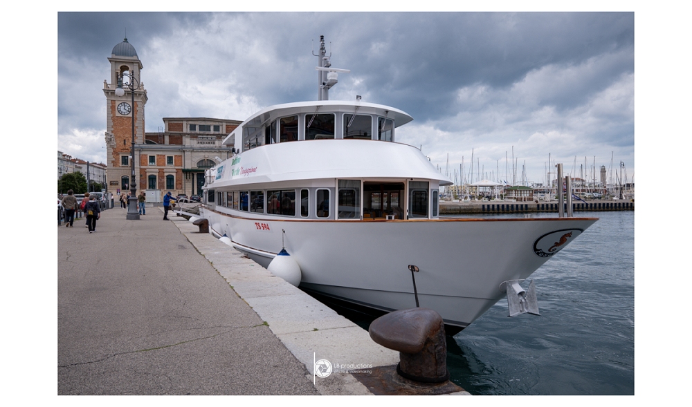Nuove corse serali estive per il Delfino Verde TRIESTE-MUGGIA