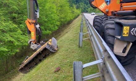ECOGEST RAFFORZA LA PRESENZA IN FRIULI VENEZIA GIULIA: AGGIUDICATO APPALTO PER IL VERDE STRADALE NEL BASSO FRIULI