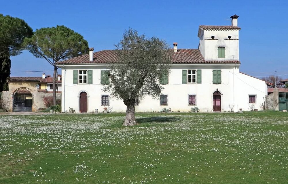 FAI UN GIRO IN VIGNA – FAI PER LA BIODIVERSITÀ- Edizione 2025: “Sulle orme dei monaci”, passeggiata guidata da Villa Maseri a Ronchi di Sant’Egidio Oleis di Manzano – Udine