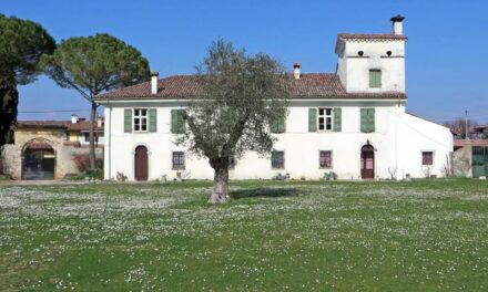 FAI UN GIRO IN VIGNA – FAI PER LA BIODIVERSITÀ- Edizione 2025: “Sulle orme dei monaci”, passeggiata guidata da Villa Maseri a Ronchi di Sant’Egidio Oleis di Manzano – Udine