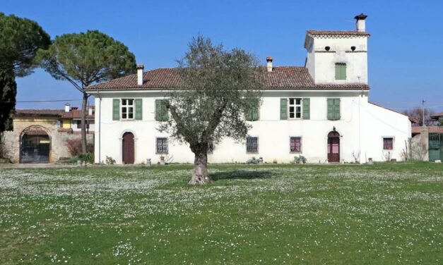FAI UN GIRO IN VIGNA – FAI PER LA BIODIVERSITÀ- Edizione 2025: “Sulle orme dei monaci”, passeggiata guidata da Villa Maseri a Ronchi di Sant’Egidio Oleis di Manzano – Udine