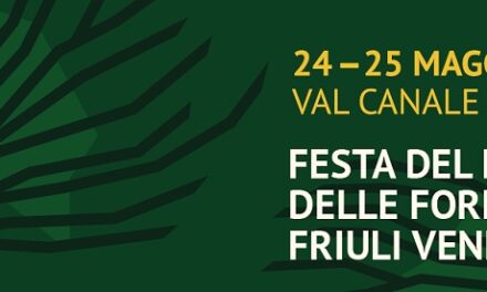 Cluster forestale, torna “Foresta in valle” in VAL CANALE