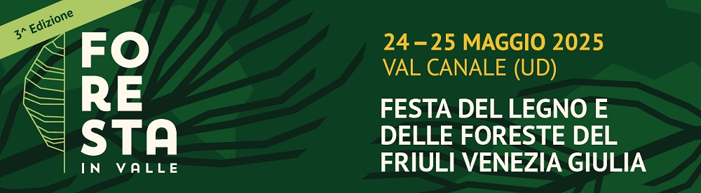 Cluster forestale, torna “Foresta in valle” in VAL CANALE