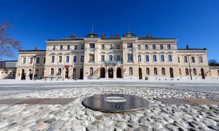 Borderless Museums: a Nova Gorica – Gorizia la conferenza internazionale di ICOM sul ruolo dei musei in un mondo senza confini