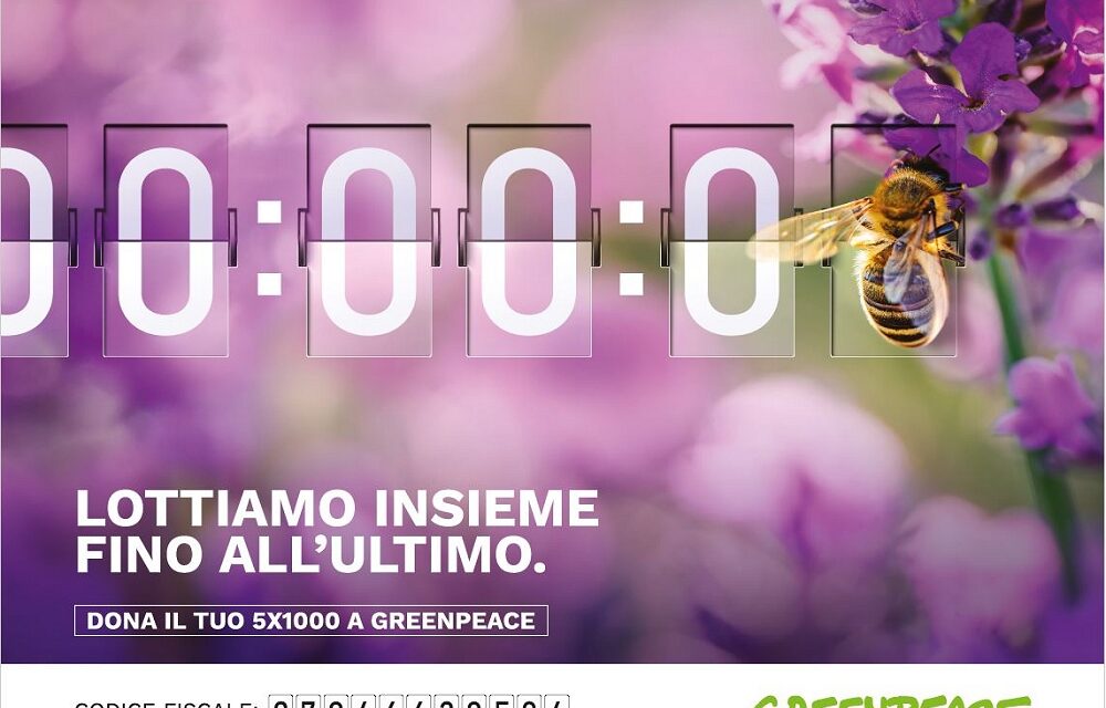 GIORNATA MONDIALE DELLE API – 20 MAGGIO 2025, APPELLO GREENPEACE: IL NOSTRO CIBO E LA BIODIVERSITÀ DIPENDONO DALLE API
