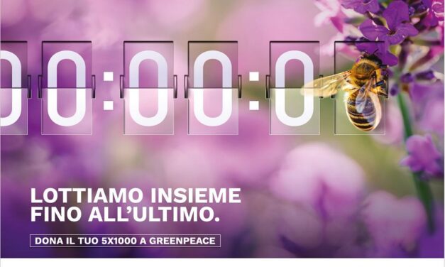 GIORNATA MONDIALE DELLE API – 20 MAGGIO 2025, APPELLO GREENPEACE: IL NOSTRO CIBO E LA BIODIVERSITÀ DIPENDONO DALLE API