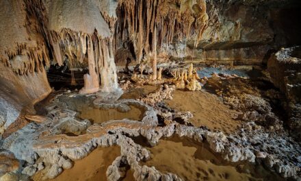 “LA GROTTA IMPOSSIBILE SVELA LA GALLERIA THOMAS DE MARCHI”: MOSTRA FOTOGRAFICA PRESSO IL CENTRO VISITE DELLA GROTTA GIGANTE