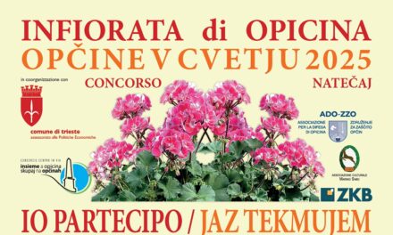 PRESENTATA IN MUNICIPIO A TRIESTE L’INFIORATA DI OPICINA 2025 GIUNTA ALLA XVI EDIZIONE, MANIFESTAZIONE PROMOSSA DAL CONSORZIO INSIEME A OPICINA IN CO-ORGANIZZAZIONE CON IL COMUNE DI TRIESTE E IN COLLABORAZIONE CON L’ASSOCIAZIONE PER LA DIFESA DI OPICINA E L’ASSOCIAZIONE CULTURALE “MARINO SIMIC”