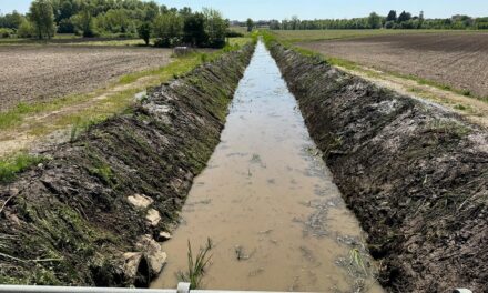CONSORZIO BONIFICA PIANURA FRIULANA: Lavori zona collinare