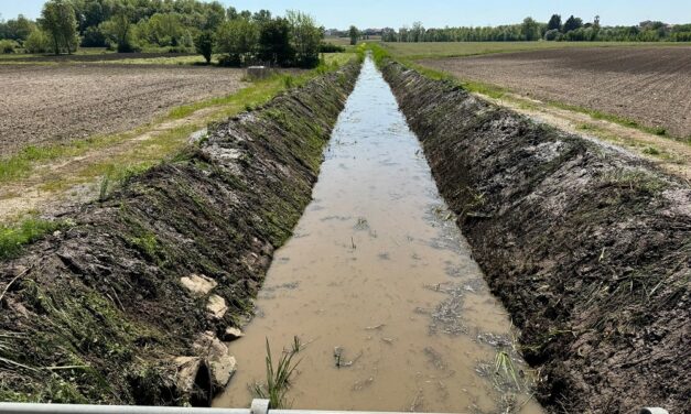 CONSORZIO BONIFICA PIANURA FRIULANA: Lavori zona collinare