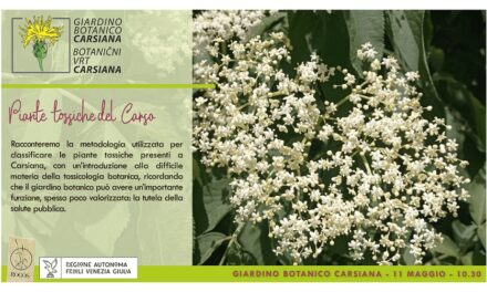 Piante tossiche del Carso: introduzione alla tossicologia botanica al Giardino botanico Carsiana
