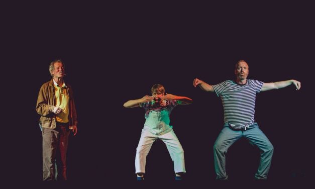 PICCOLIPALCHI: La compagnia Arione de Falco vince il PREMIO DEL PUBBLICO 24/25