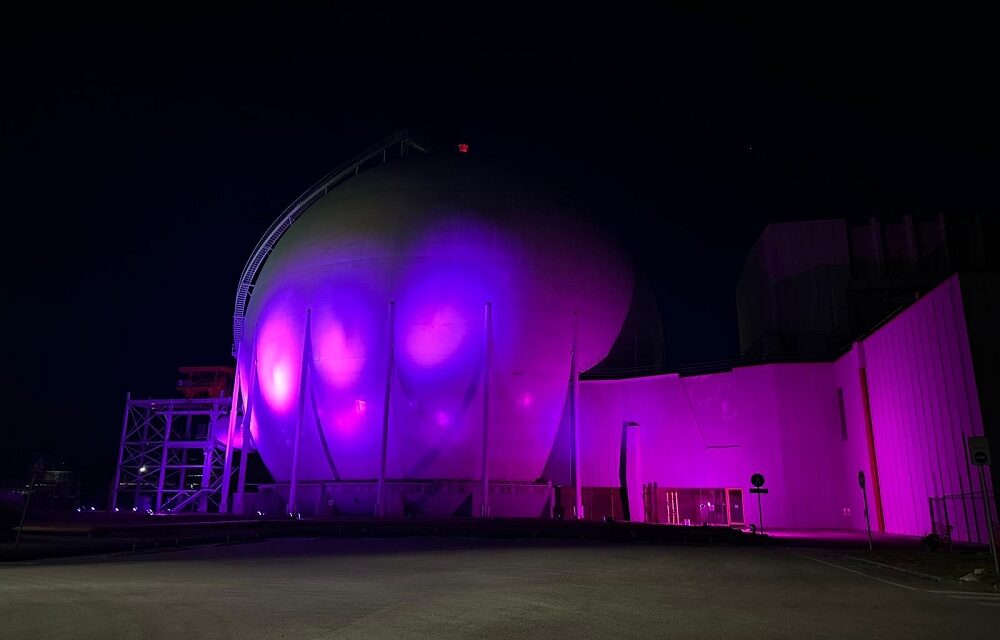 SOGIN ADERISCE ALLA GIORNATA MONDIALE DELLA FIBROMIALGIA