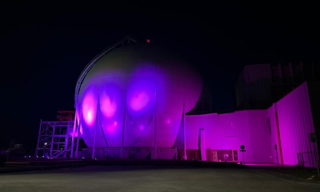 SOGIN ADERISCE ALLA GIORNATA MONDIALE DELLA FIBROMIALGIA