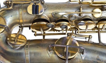 PER IL CICLO “LE STANZE DELLA MUSICA” MERCOLEDÌ 7 MAGGIO ALLE ORE 17.30 AL CIVICO MUSEO TEATRALE “CARLO SCHMIDL” APPUNTAMENTO CON GLI STRUMENTI A FIATO NELLA MUSICA D’INSIEME