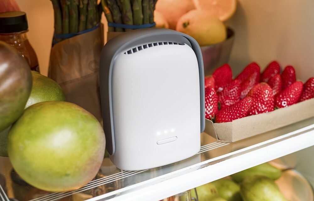 VITESY LANCIA SHELFY LITE: LA NUOVA FRONTIERA DELLA PURIFICAZIONE PER UN FRIGORIFERO PIÙ SANO, SOSTENIBILE E INTELLIGENTE