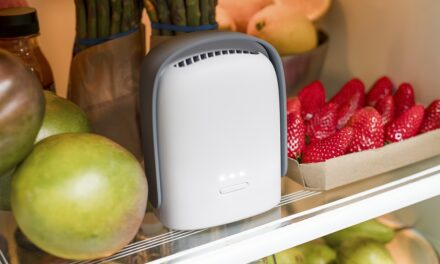VITESY LANCIA SHELFY LITE: LA NUOVA FRONTIERA DELLA PURIFICAZIONE PER UN FRIGORIFERO PIÙ SANO, SOSTENIBILE E INTELLIGENTE