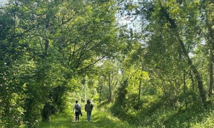 “Tra natura e gusto”: sabato 7 e domenica 8 giugno, a Bordano, escursione gourmet tra fiori, farfalle e tradizioni