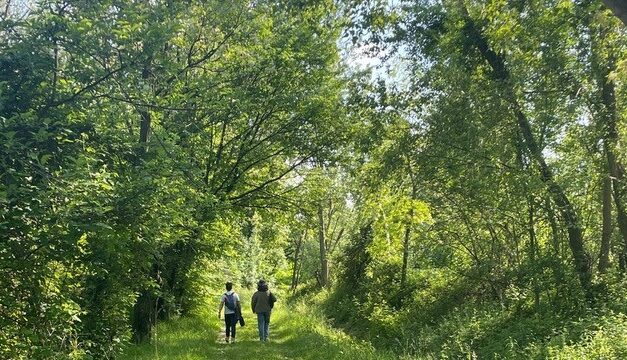 “Tra natura e gusto”: sabato 7 e domenica 8 giugno, a Bordano, escursione gourmet tra fiori, farfalle e tradizioni