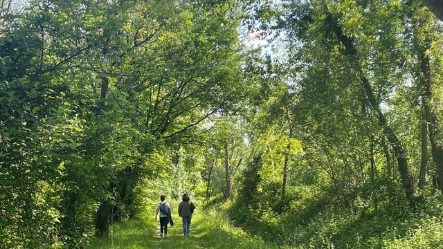 “Tra natura e gusto”: sabato 7 e domenica 8 giugno, a Bordano, escursione gourmet tra fiori, farfalle e tradizioni