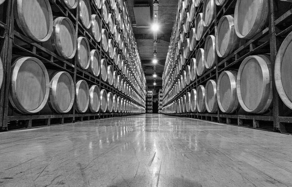 La logistica in cantina, non solo qualità del vino: il 90% del successo commerciale di un’azienda vinicola è legato alla gestione delle scorte