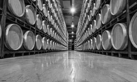 La logistica in cantina, non solo qualità del vino: il 90% del successo commerciale di un’azienda vinicola è legato alla gestione delle scorte