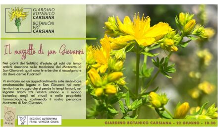 Il mazzetto di San Giovanni al Giardino botanico Carsiana