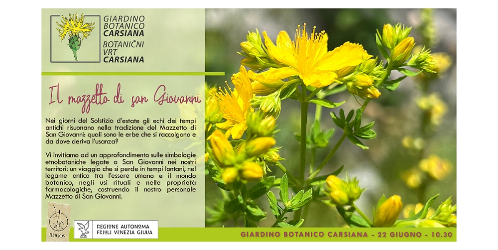 Il mazzetto di San Giovanni al Giardino botanico Carsiana