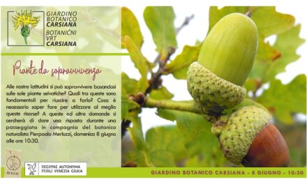Piante da sopravvivenza al Giardino botanico Carsiana