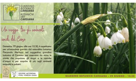 Un viaggio tra gli ambienti umidi del Carso al Giardino botanico Carsiana