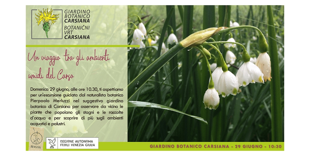Un viaggio tra gli ambienti umidi del Carso al Giardino botanico Carsiana