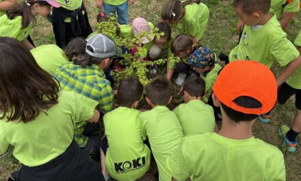 IL FUTURO SI PIANTA OGGI: CONCLUSA A BUDOIA LA FESTA DEGLI ALBERI AL POLO LOGISTICO DI CECCARELLI GROUP