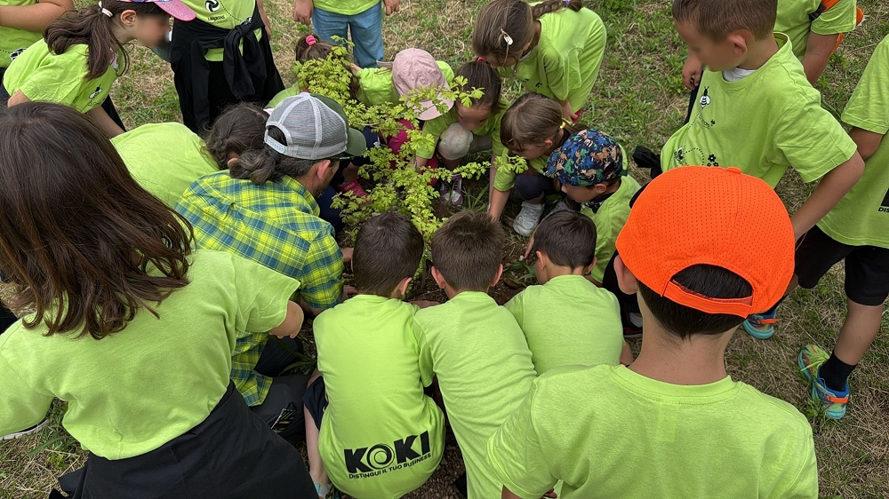 IL FUTURO SI PIANTA OGGI: CONCLUSA A BUDOIA LA FESTA DEGLI ALBERI AL POLO LOGISTICO DI CECCARELLI GROUP