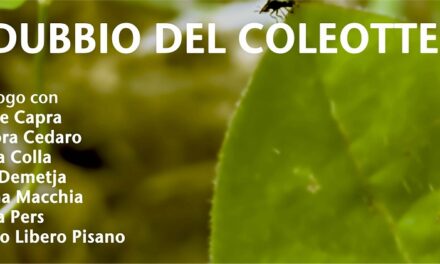 IL DUBBIO DEL COLEOTTERO: tavola rotonda con Driant Zeneli_artist-in-residence RAVE 2025