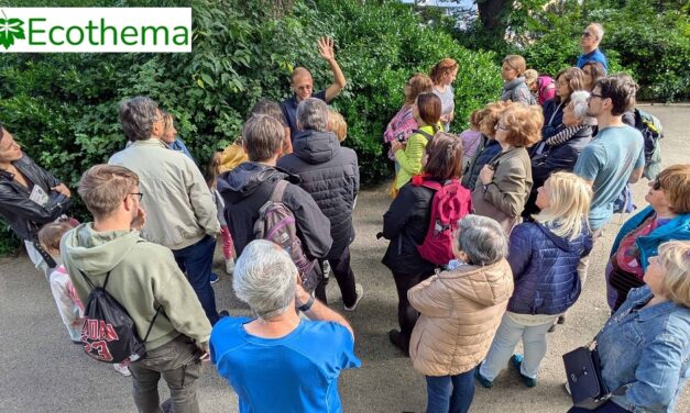 Sguardi nel verde: la natura al Parco della Rimembranza e al Colle di San Giusto