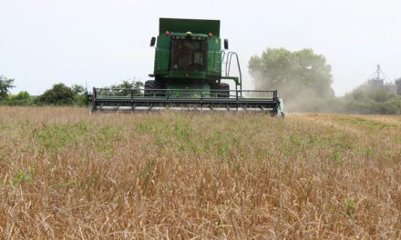 Ebaf: sicurezza del lavoro agricolo e promozione della natalità, con nuove prestazioni economiche