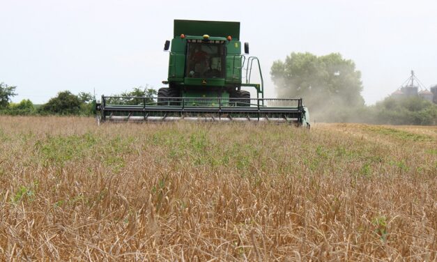 Ebaf: sicurezza del lavoro agricolo e promozione della natalità, con nuove prestazioni economiche