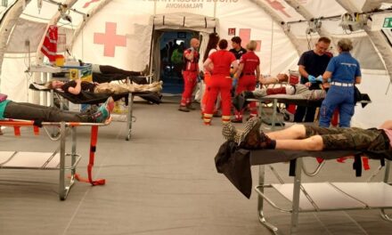 Progetto IN4SAFETY: Maxi Esercitazione a Gorizia
