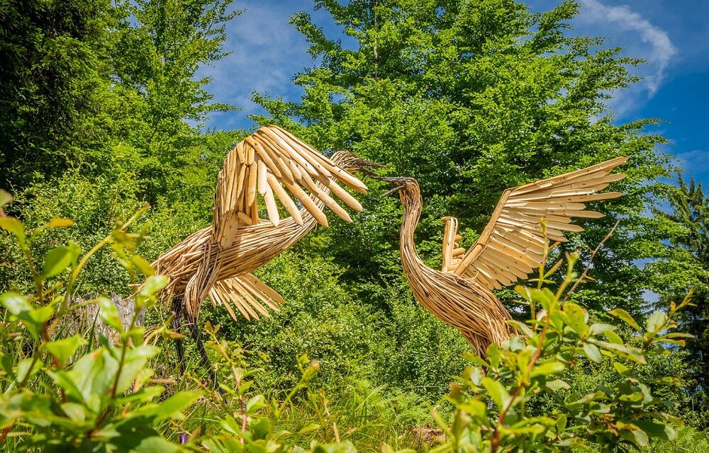 LandArt&Radici porta quattro nuove opere d’arte nella Foresta di Tarvisio