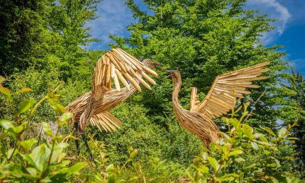 LandArt&Radici porta quattro nuove opere d’arte nella Foresta di Tarvisio