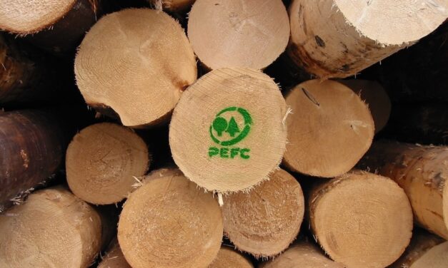 PEFC Italia: il Bilancio di Sostenibilità rivela record di foreste e aziende certificate